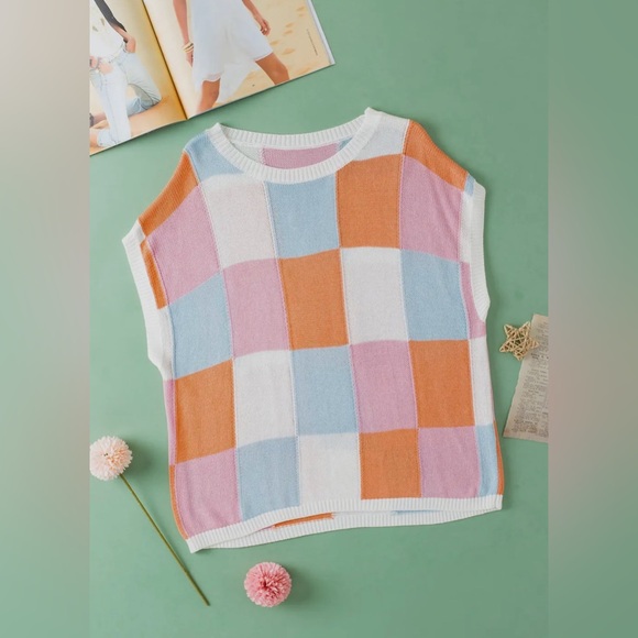 Sweater / ColorBlock Lightweight Sleeveless Knit Sweater - Picture 4 of 9